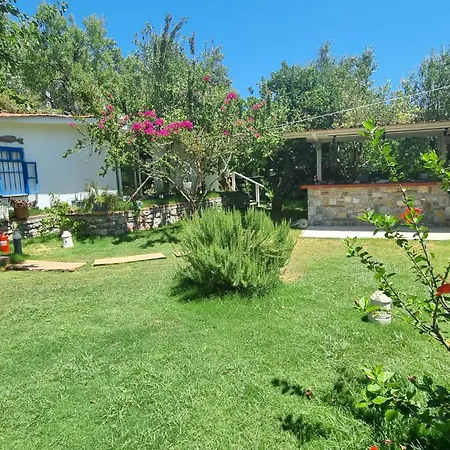 Lemon Garden Boutique Ξενοδοχείο