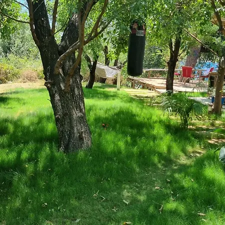 Lemon Garden Boutique 3* بوزبورون