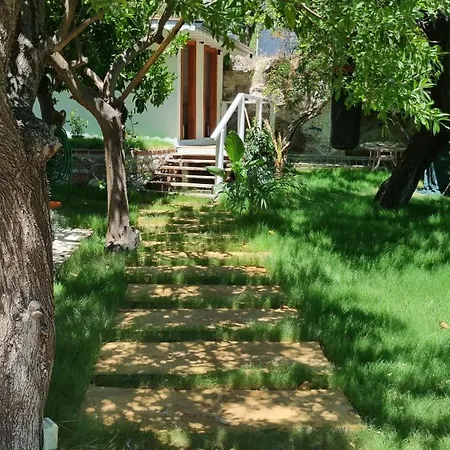 Lemon Garden Boutique بوزبورون