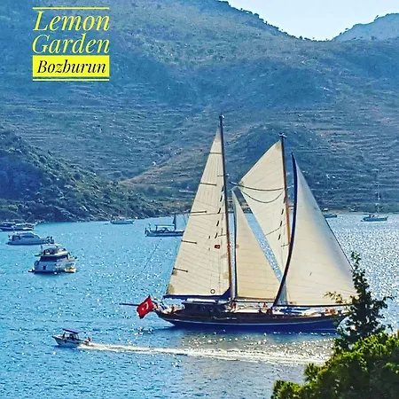 Lemon Garden Boutique فندق بوزبورون