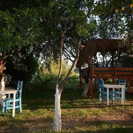 Lemon Garden Boutique بوزبورون