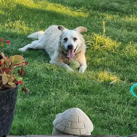 Lemon Garden Boutique Hotel Bozburun