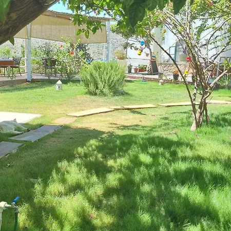 Hotel Lemon Garden Boutique