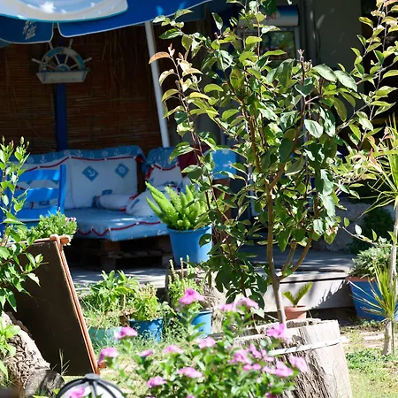 Lemon Garden Boutique Hotel 3*