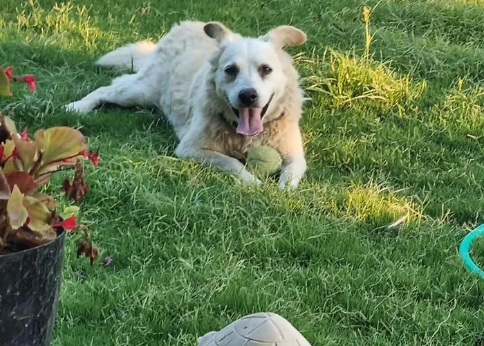Lemon Garden Boutique Hotel Bozburun