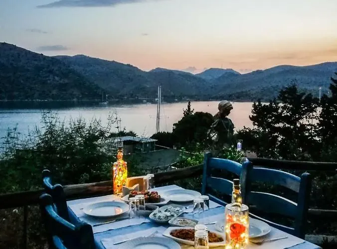 Lemon Garden Boutique